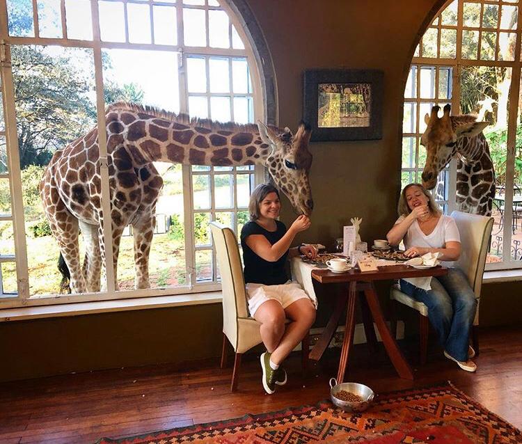 Between giraffes – a trip to Kenya